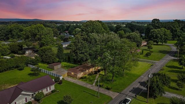 215 Patrick St, Estill Springs, TN 37330 - drone / aerial view