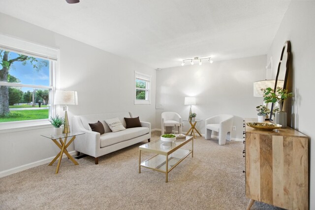 215 Patrick St, Estill Springs, TN 37330 - living area with carpet