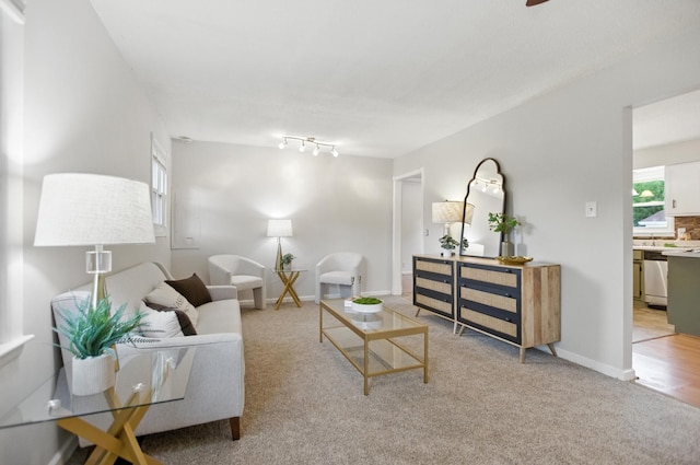 215 Patrick St, Estill Springs, TN 37330 - living room with light colored carpet
