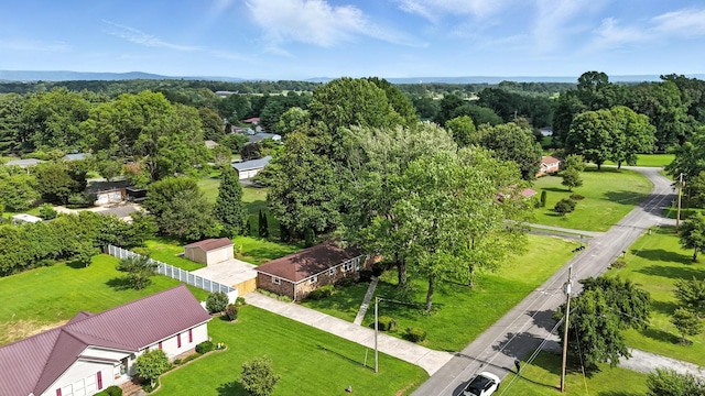 215 Patrick St, Estill Springs, TN 37330 - drone / aerial view