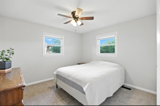 215 Patrick St, Estill Springs, TN 37330 - carpeted bedroom featuring multiple windows and a ceiling fan