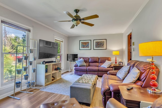 1011 S Baird Ln, Murfreesboro, TN 37130 - living area with ceiling fan, wood finished floors, and crown molding
