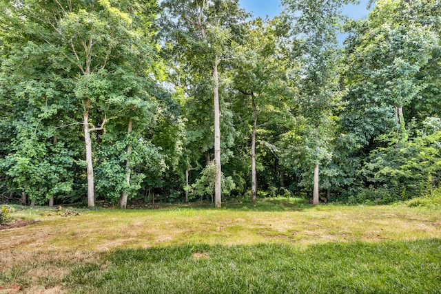578 Pongracz Way, Clarksville, TN 37042 - view of local wilderness
