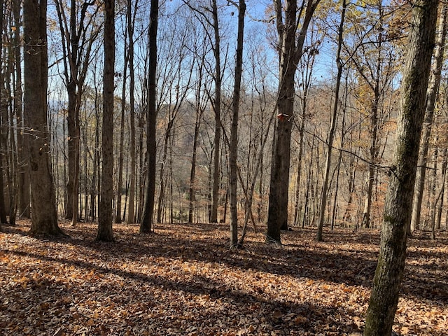 0 Cummings Ln, Cottontown, TN 37048 - photo 6