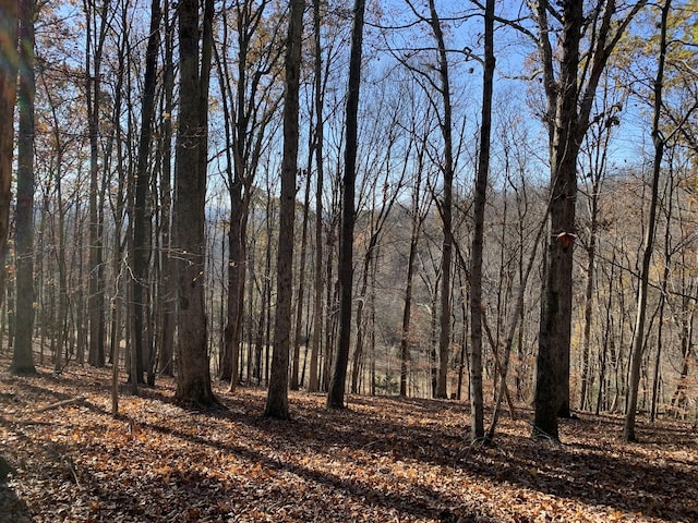 0 Cummings Ln, Cottontown, TN 37048 - photo 5