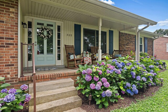 509 Iris Ave, Murfreesboro, TN 37128 - view of exterior entry featuring a porch and brick siding