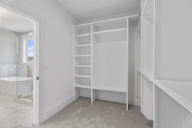 6021 Riverview Dr, Pegram, TN 37143 - spacious closet with marble look tiles