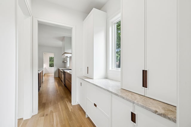 4045 Outer Dr, Nashville, TN 37204 - hall featuring light wood-style floors and healthy amount of natural light