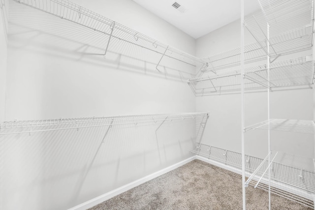 564 Ayden Ln, Clarksville, TN 37042 - photo 20