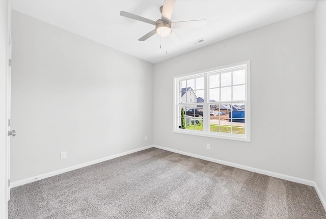 564 Ayden Ln, Clarksville, TN 37042 - photo 28