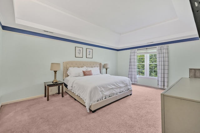 1903 Palmer Dr, Springfield, TN 37172 - bedroom with a raised ceiling and carpet
