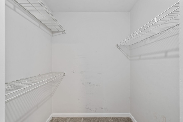 712 Green Valley Ct, Clarksville, TN 37042 - walk in closet with carpet floors