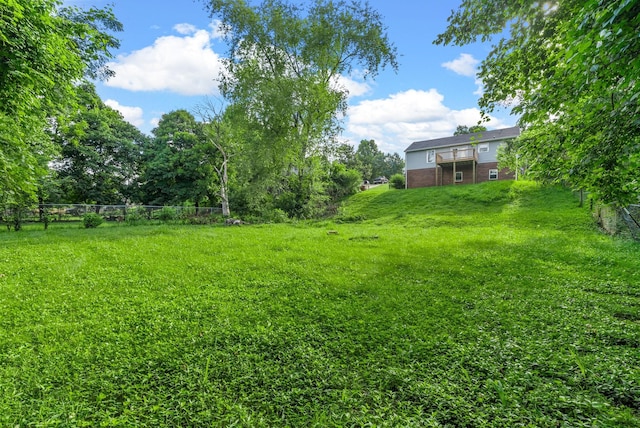 712 Green Valley Ct, Clarksville, TN 37042 - view of yard