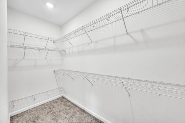568 Ayden Ln, Clarksville, TN 37042 - photo 26