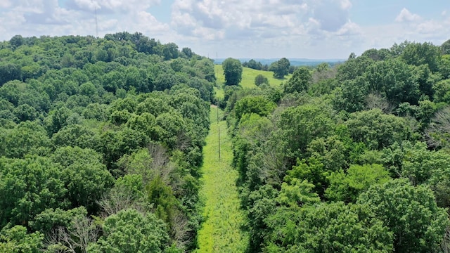 0 Shelbyville Hwy, Fayetteville, TN 37334 - photo 4