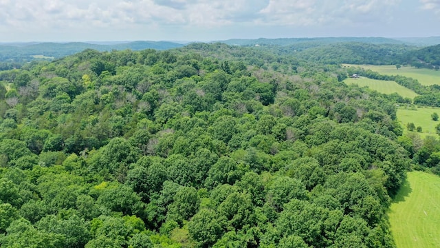 0 Shelbyville Hwy, Fayetteville, TN 37334 - photo 2