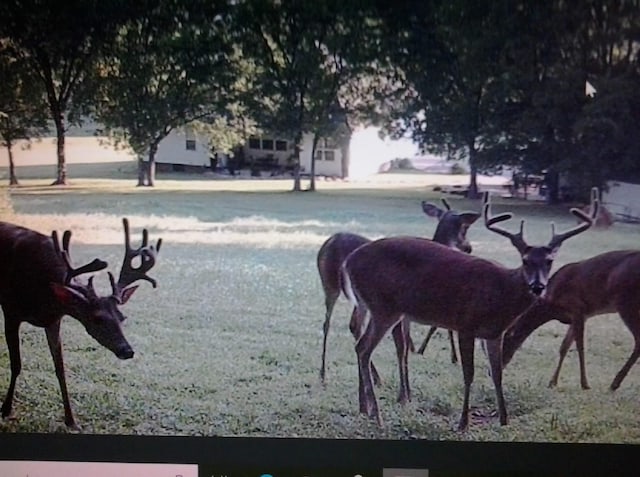 0 Shelbyville Hwy, Fayetteville, TN 37334 - photo 20