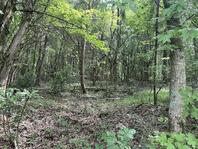 0 Shelbyville Hwy, Fayetteville, TN 37334 - photo 10