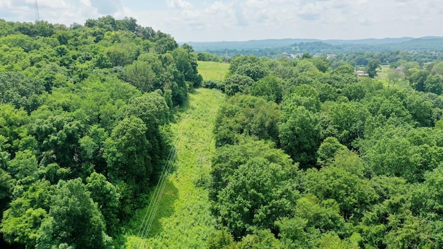 0 Shelbyville Hwy, Fayetteville, TN 37334 - photo 3