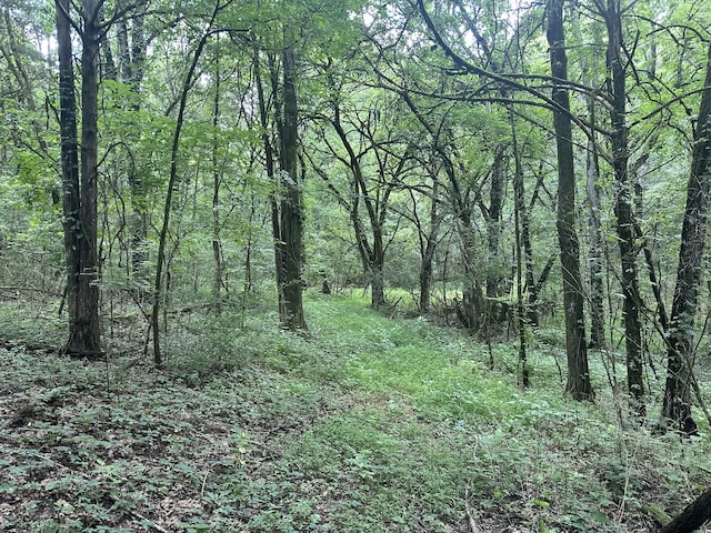 0 Shelbyville Hwy, Fayetteville, TN 37334 - photo 12