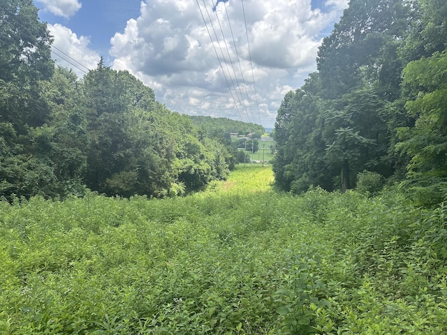 0 Shelbyville Hwy, Fayetteville, TN 37334 - photo 13