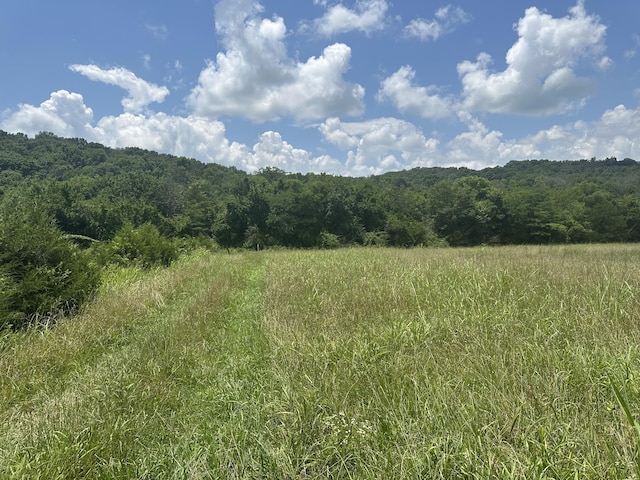 0 Shelbyville Hwy, Fayetteville, TN 37334 - photo 19
