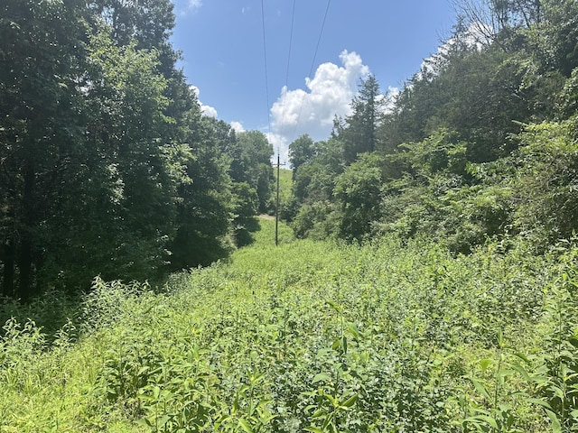 0 Shelbyville Hwy, Fayetteville, TN 37334 - photo 16
