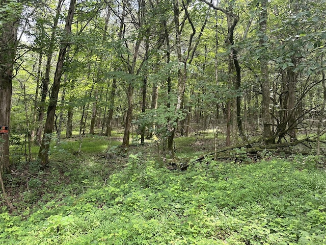 0 Shelbyville Hwy, Fayetteville, TN 37334 - photo 9