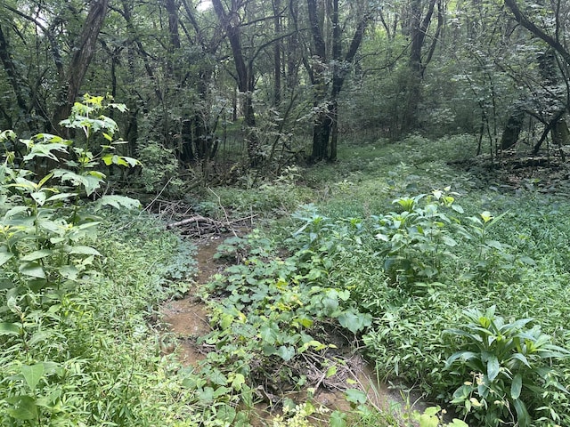 0 Shelbyville Hwy, Fayetteville, TN 37334 - photo 8