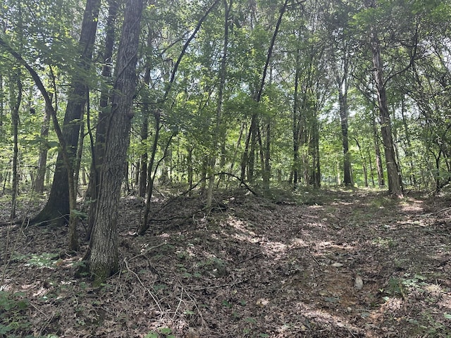 0 Shelbyville Hwy, Fayetteville, TN 37334 - photo 11