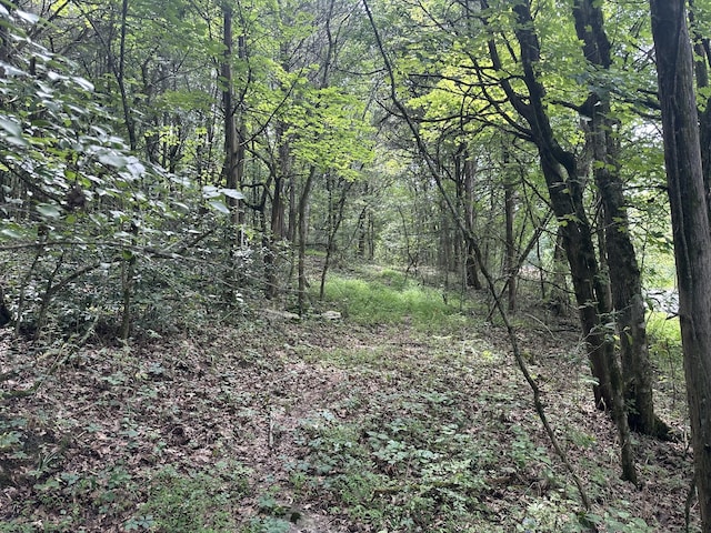 0 Shelbyville Hwy, Fayetteville, TN 37334 - photo 6