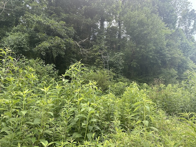 0 Shelbyville Hwy, Fayetteville, TN 37334 - photo 14