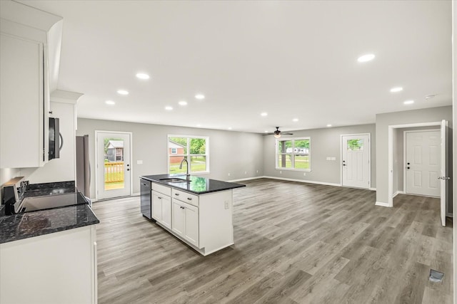 226 Elmwood Dr, Rock Island, TN 38581 - kitchen featuring stainless steel appliances, light wood-style flooring, a ceiling fan, recessed lighting, and white cabinetry