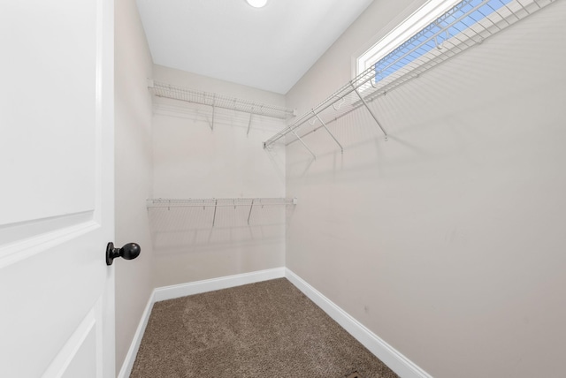 76 W High St, Clarksville, TN 37040 - walk in closet with carpet floors