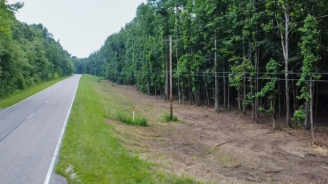 0 Birdsong Rd, Holladay, TN 38341 - photo 41