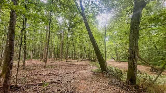 0 Birdsong Rd, Holladay, TN 38341 - photo 15