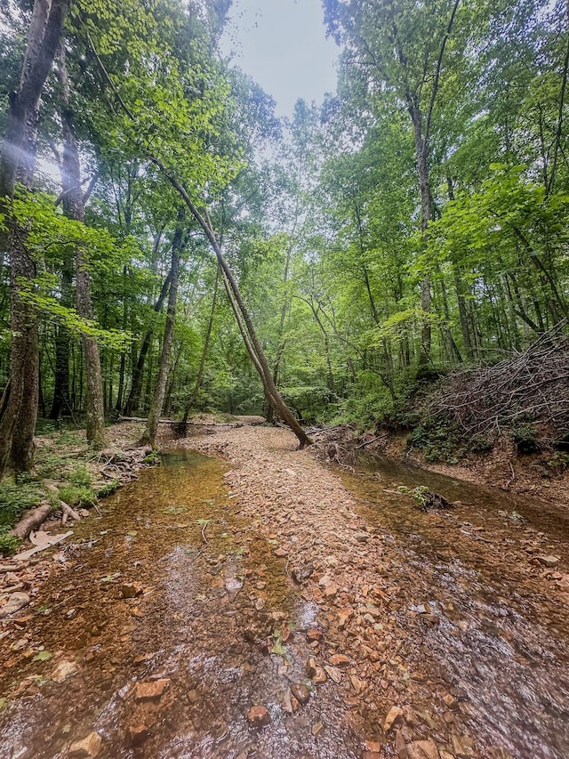 0 Birdsong Rd, Holladay, TN 38341 - photo 3