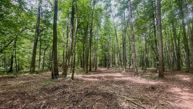 0 Birdsong Rd, Holladay, TN 38341 - photo 23