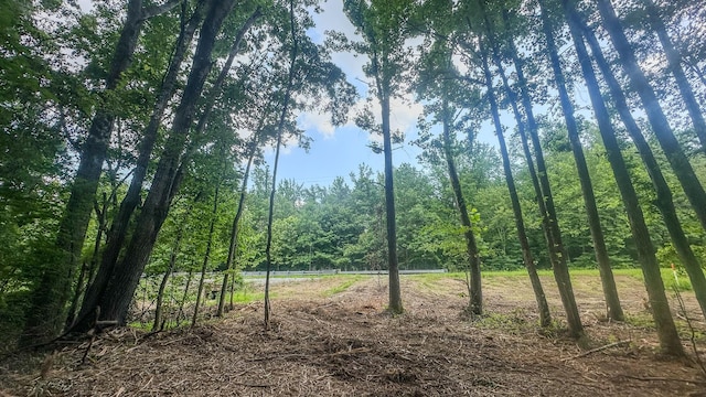 0 Birdsong Rd, Holladay, TN 38341 - photo 31