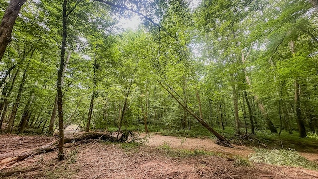 0 Birdsong Rd, Holladay, TN 38341 - photo 19