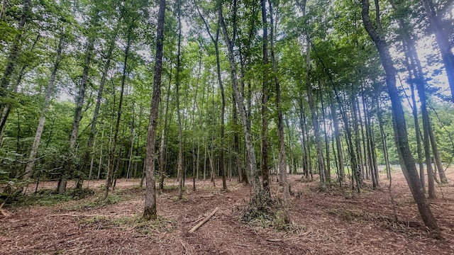 0 Birdsong Rd, Holladay, TN 38341 - photo 27