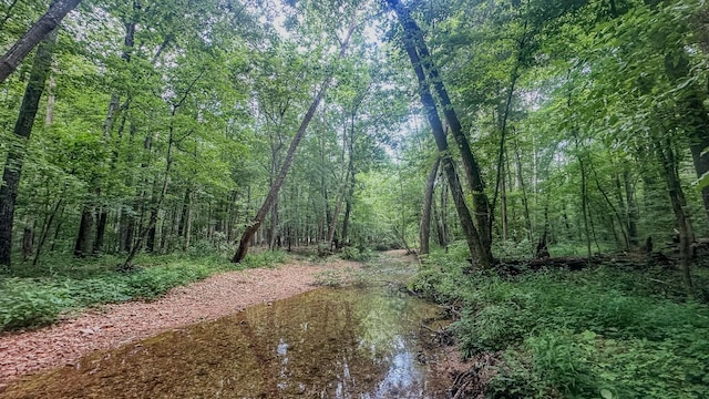 0 Birdsong Rd, Holladay, TN 38341 - photo 13
