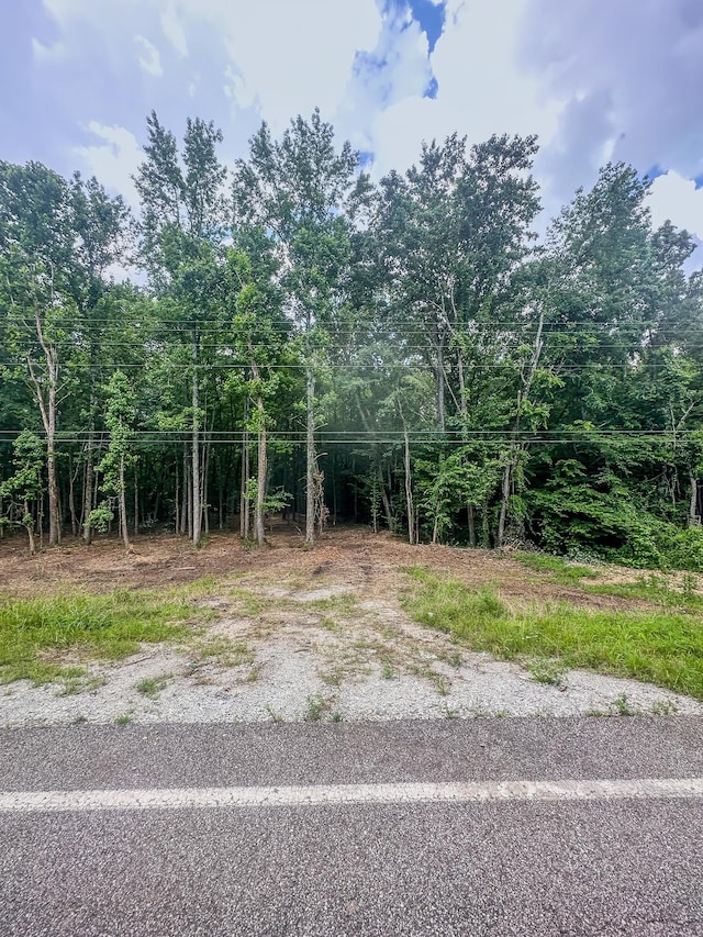 0 Birdsong Rd, Holladay, TN 38341 - photo 37