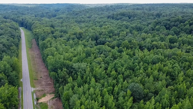 0 Birdsong Rd, Holladay, TN 38341 - photo 43