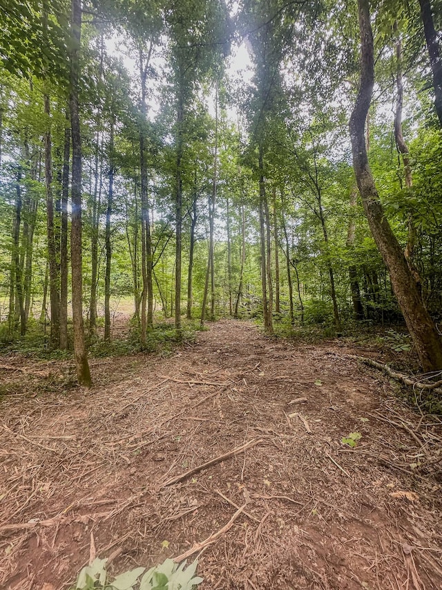 0 Birdsong Rd, Holladay, TN 38341 - photo 26
