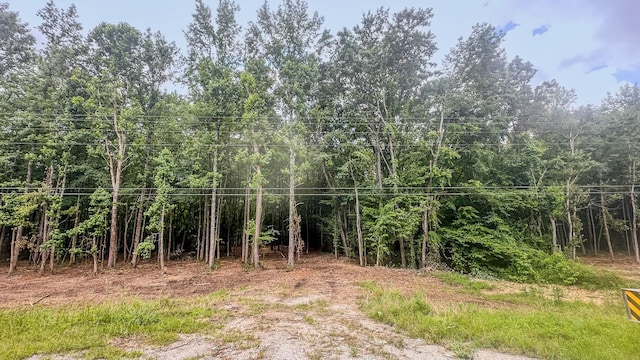 0 Birdsong Rd, Holladay, TN 38341 - photo 34