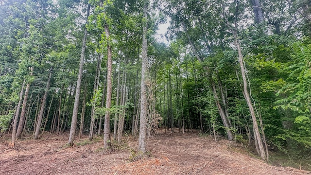 0 Birdsong Rd, Holladay, TN 38341 - photo 32