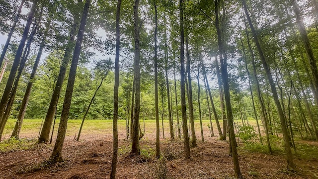 0 Birdsong Rd, Holladay, TN 38341 - photo 29