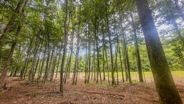 0 Birdsong Rd, Holladay, TN 38341 - photo 28