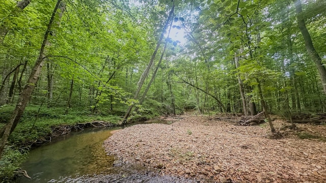 0 Birdsong Rd, Holladay, TN 38341 - photo 11